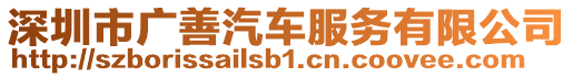 深圳市廣善汽車服務(wù)有限公司