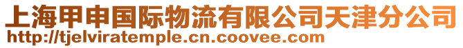 上海甲申國(guó)際物流有限公司天津分公司