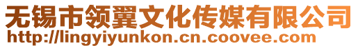 無(wú)錫市領(lǐng)翼文化傳媒有限公司