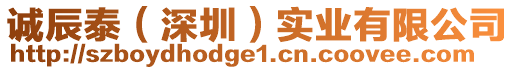 誠(chéng)辰泰（深圳）實(shí)業(yè)有限公司