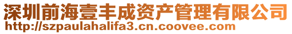 深圳前海壹豐成資產(chǎn)管理有限公司