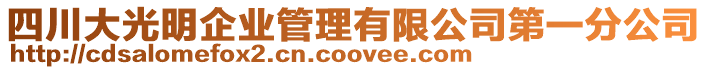 四川大光明企業(yè)管理有限公司第一分公司