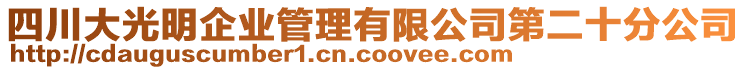 四川大光明企業(yè)管理有限公司第二十分公司