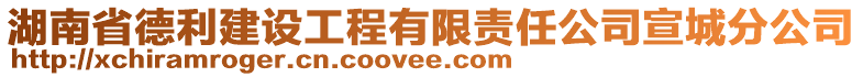 湖南省德利建設(shè)工程有限責(zé)任公司宣城分公司