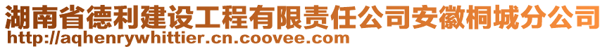 湖南省德利建設(shè)工程有限責(zé)任公司安徽桐城分公司