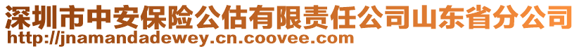 深圳市中安保險(xiǎn)公估有限責(zé)任公司山東省分公司