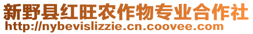 新野縣紅旺農(nóng)作物專業(yè)合作社