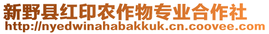 新野縣紅印農作物專業合作社