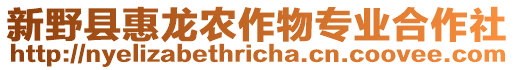 新野縣惠龍農(nóng)作物專業(yè)合作社