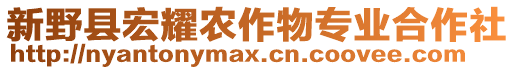 新野縣宏耀農作物專業合作社