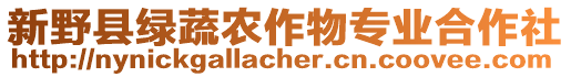 新野縣綠蔬農作物專業合作社