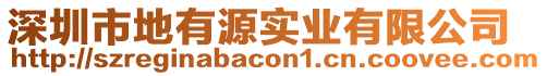 深圳市地有源實(shí)業(yè)有限公司