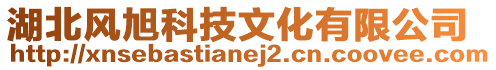 湖北風旭科技文化有限公司
