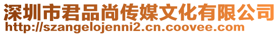 深圳市君品尚傳媒文化有限公司
