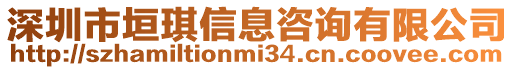 深圳市垣琪信息咨詢有限公司