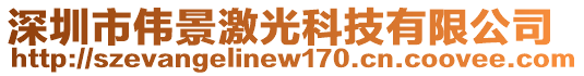 深圳市偉景激光科技有限公司