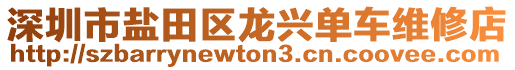 深圳市鹽田區(qū)龍興單車維修店