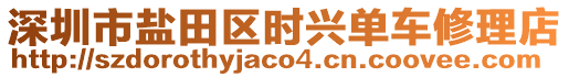 深圳市鹽田區(qū)時(shí)興單車修理店