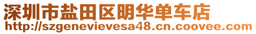 深圳市鹽田區(qū)明華單車店
