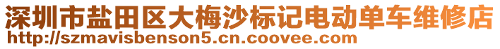 深圳市鹽田區(qū)大梅沙標記電動單車維修店