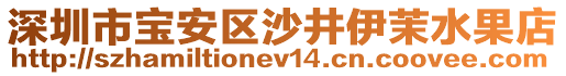 深圳市寶安區(qū)沙井伊茉水果店