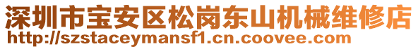 深圳市寶安區(qū)松崗東山機械維修店