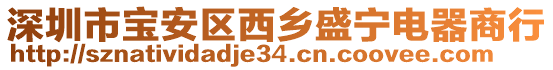 深圳市寶安區西鄉盛寧電器商行