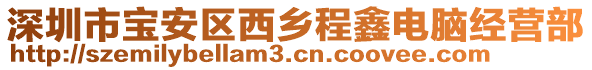 深圳市寶安區(qū)西鄉(xiāng)程鑫電腦經(jīng)營部