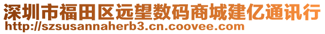 深圳市福田區(qū)遠(yuǎn)望數(shù)碼商城建億通訊行