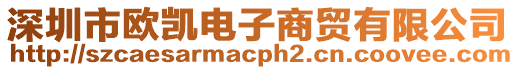深圳市歐凱電子商貿有限公司