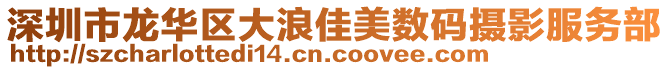 深圳市龍華區大浪佳美數碼攝影服務部