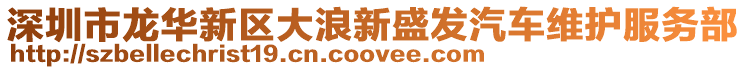 深圳市龍華新區大浪新盛發汽車維護服務部