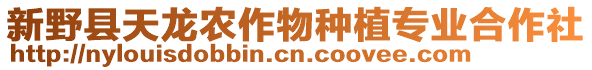 新野縣天龍農作物種植專業合作社