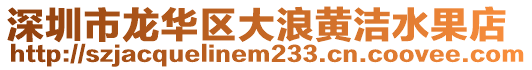 深圳市龍華區(qū)大浪黃潔水果店