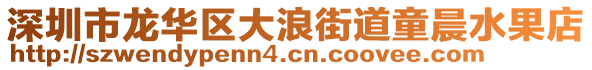 深圳市龍華區(qū)大浪街道童晨水果店