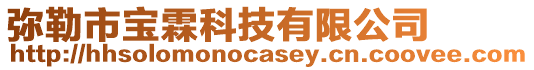 彌勒市寶霖科技有限公司