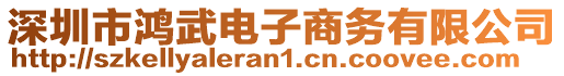 深圳市鴻武電子商務(wù)有限公司