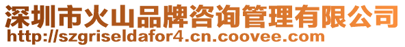 深圳市火山品牌咨詢管理有限公司