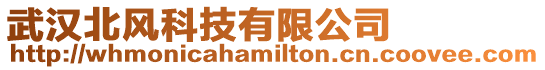 武漢北風科技有限公司
