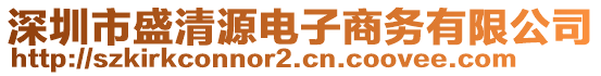 深圳市盛清源電子商務(wù)有限公司