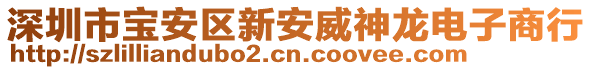 深圳市寶安區(qū)新安威神龍電子商行