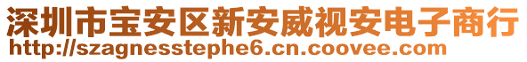 深圳市寶安區新安威視安電子商行