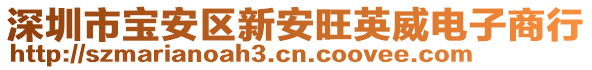 深圳市寶安區(qū)新安旺英威電子商行