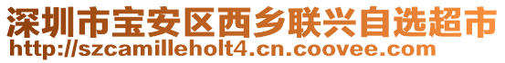 深圳市寶安區(qū)西鄉(xiāng)聯(lián)興自選超市