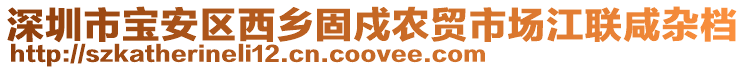 深圳市寶安區(qū)西鄉(xiāng)固戍農(nóng)貿(mào)市場江聯(lián)咸雜檔