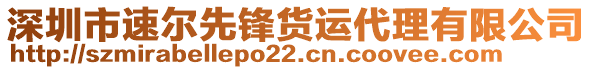 深圳市速爾先鋒貨運(yùn)代理有限公司