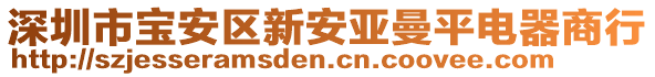 深圳市寶安區(qū)新安亞曼平電器商行