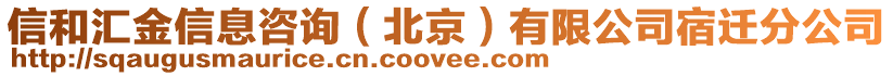 信和匯金信息咨詢（北京）有限公司宿遷分公司