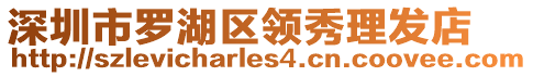 深圳市羅湖區(qū)領(lǐng)秀理發(fā)店