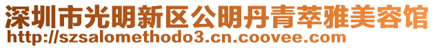 深圳市光明新區(qū)公明丹青萃雅美容館